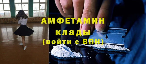 дмт Дмитровск