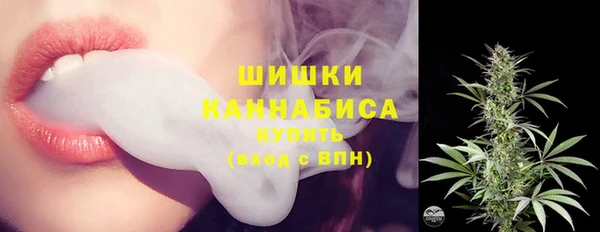 прущая мука Дмитриев