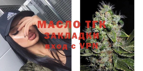 дмт Дмитровск