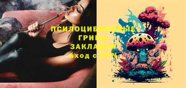 прущая мука Дмитриев