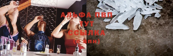 дмт Дмитровск