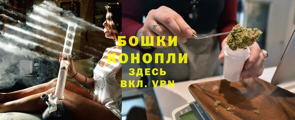 прущая мука Дмитриев