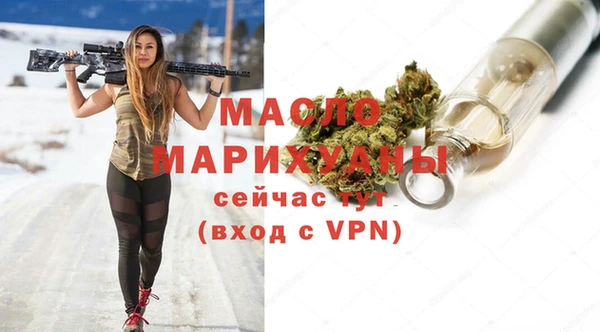 дмт Дмитровск