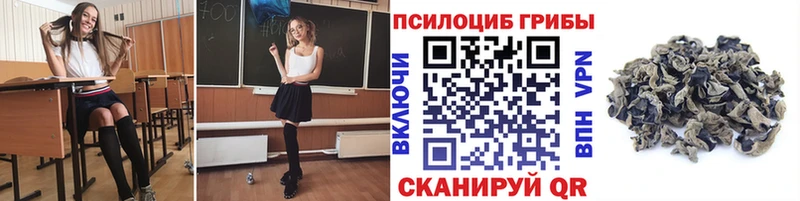 Галлюциногенные грибы Psilocybine cubensis  Купить закладки  Козельск 